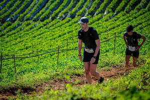 BIB: 106
                            <button type="button" onclick="openModal(19161974)" class="btn btn-primary btn-sm float-right btn-popup" data-toggle="modal" data-target=".modal-high-quality">
                        <i class="fas fa-shopping-cart"></i> Add to Cart
                    </button>
                                            <button type="button" onclick="isThisMe(19161974, true)" class="btn btn-success btn-sm float-right btn-popup btn-isme hidden" data-toggle="tooltip" data-placement="bottom" title="นี่คือรูปของคุณใช่ไหม คลิกที่นี่เพื่อเอาเข้าอัลบั้ม">
                        <i class="fas fa-plus"></i> Add to album
                    </button>
                    <button type="button" onclick="isThisMe(19161974, false)" class="btn btn-warning btn-sm float-right btn-popup btn-isnotme hidden">
                        <i class="fas fa-ban"></i> Remove from album
                    </button>